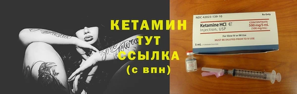 шишки Верхний Тагил